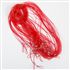 Cordini Silicone 